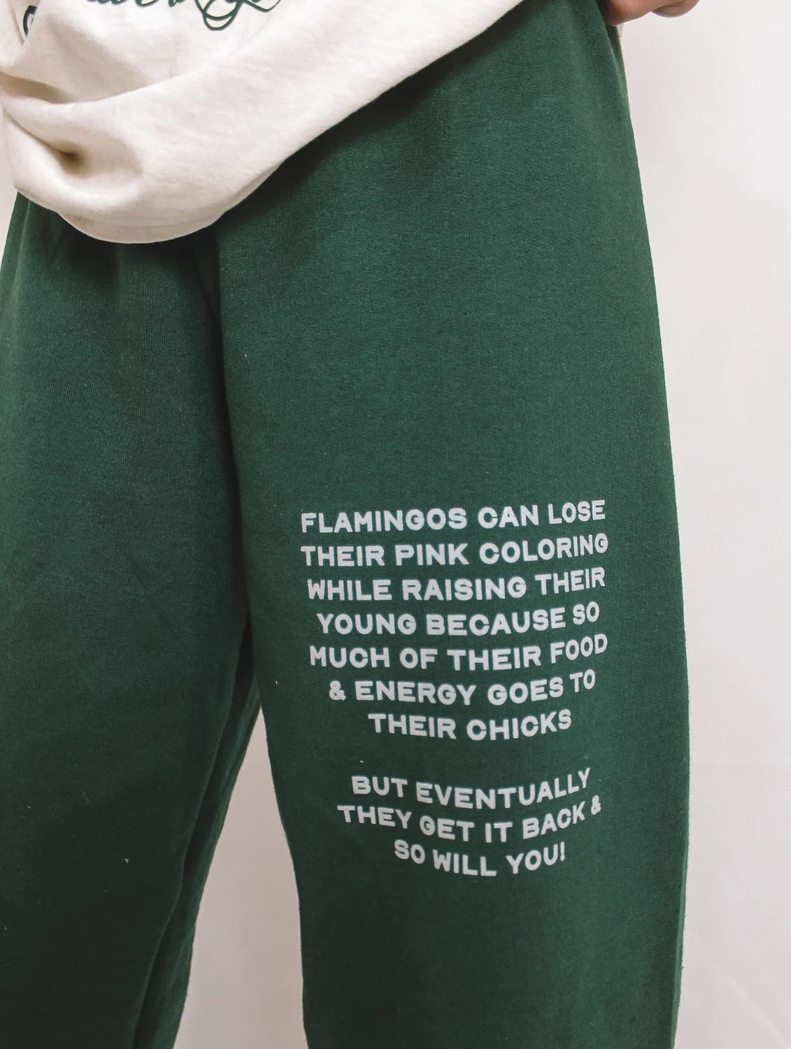Affirmations Collection Sweat Set Forest Green Sweatpants - Image 4